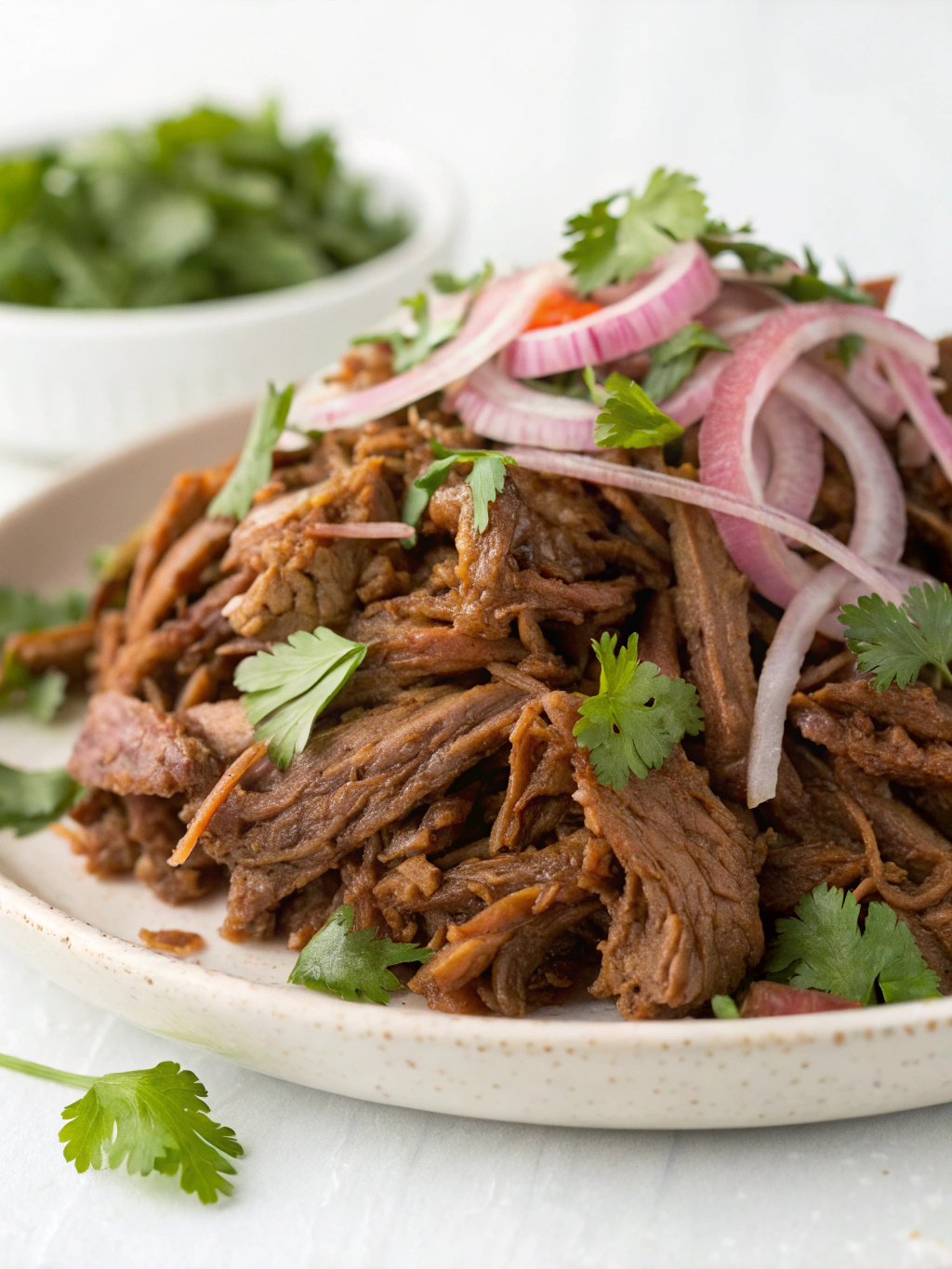 carne desfiada 3